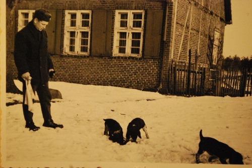 Die Zwingergeschichte begann im Winter 1968 in Ramm (Mecklenburg) auf dem Forsthof.
Hier Altzüchter Peter Busch mit Welpen aus dem M-Wurf.